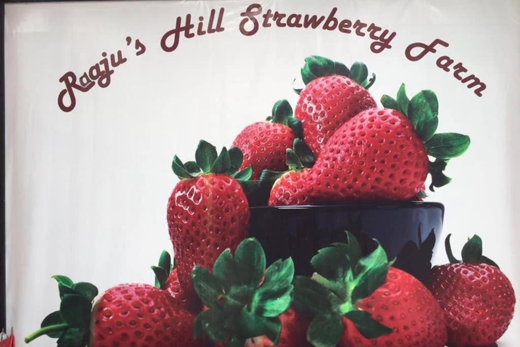 Lily Homestay Barrington Square Cameron Highlands. ブリンチャン エクステリア 写真