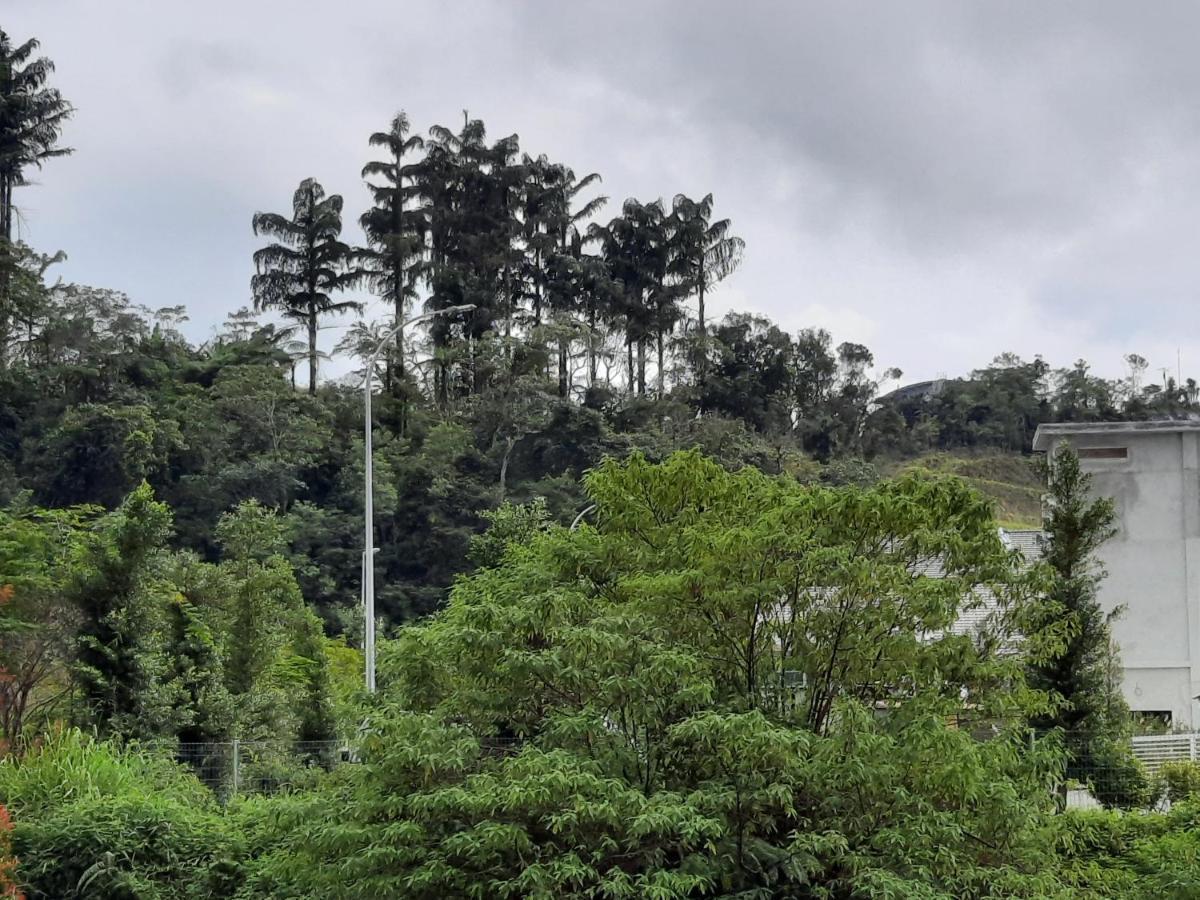 Lily Homestay Barrington Square Cameron Highlands. ブリンチャン エクステリア 写真