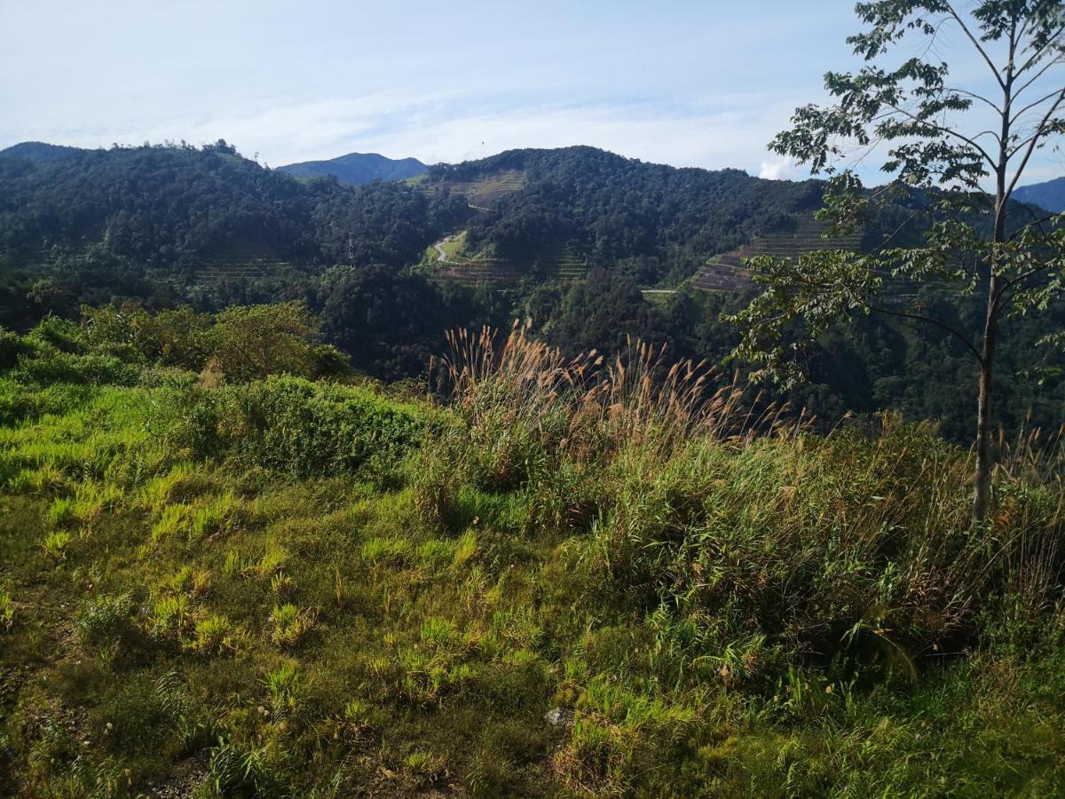 Lily Homestay Barrington Square Cameron Highlands. ブリンチャン エクステリア 写真